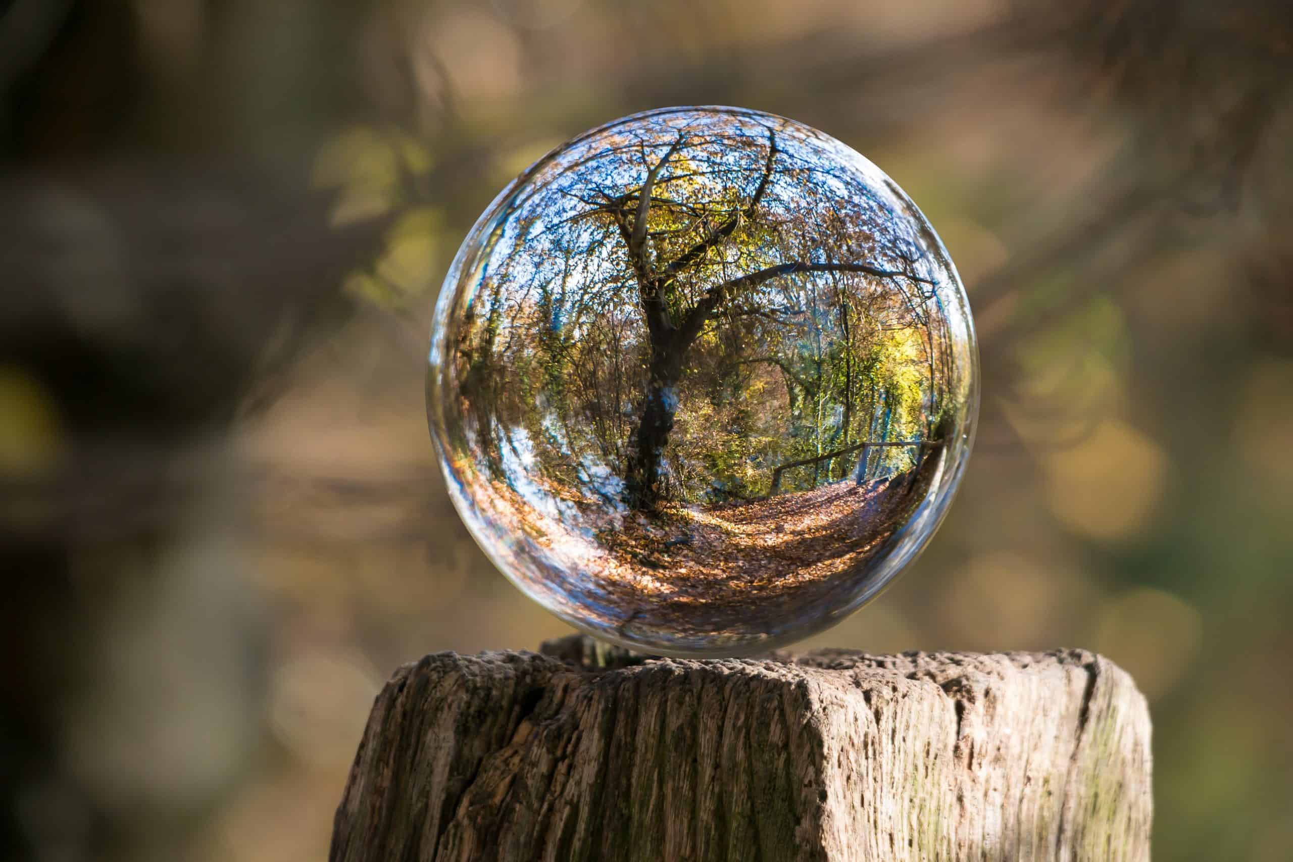 bublina na dreve