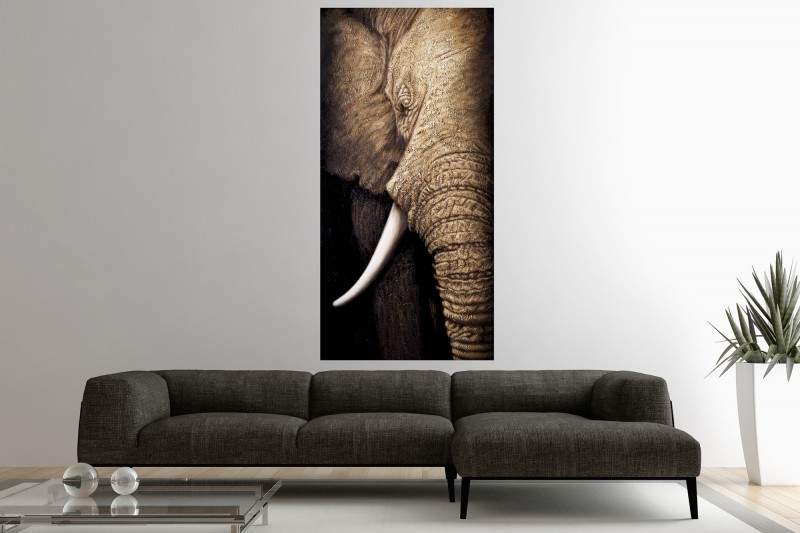 11. Obraz so slonom