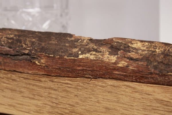 Komoda Wild Oak 100cm biela dub